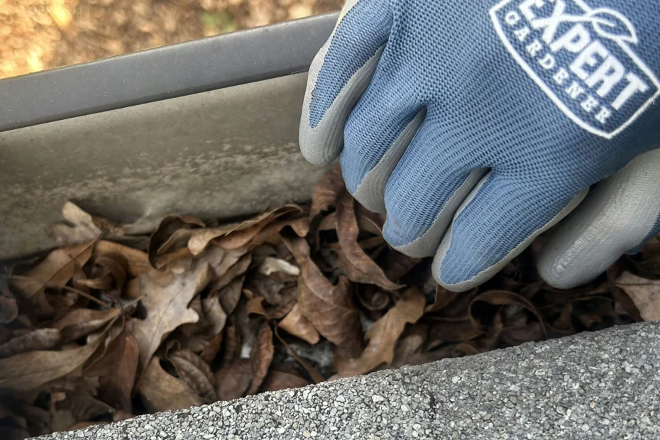 Gutter Cleaning Westover